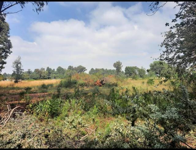 LAND FOR SALE IN HENLEY-ON-KLIP